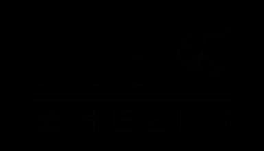 NYC Wheels logo
